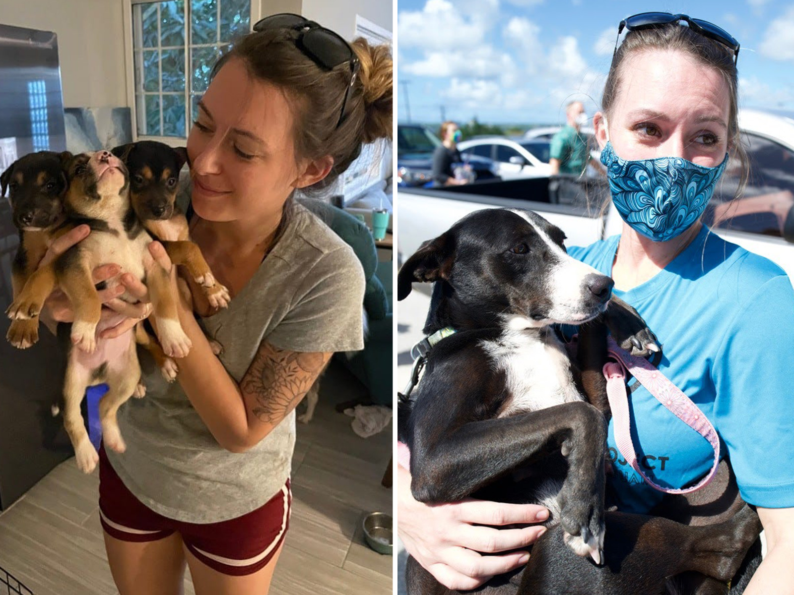 Rescue Dogs Look Unrecognizable After Devoted Woman Saves Their Lives ...