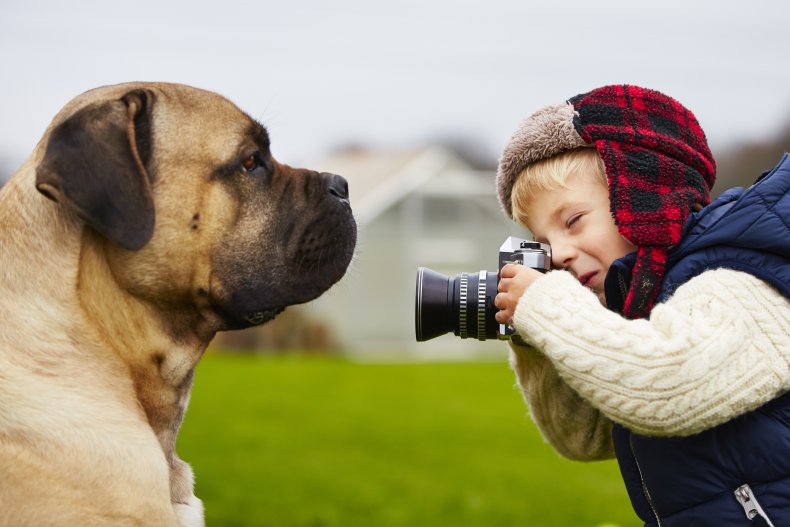 Dog And Child With Camera