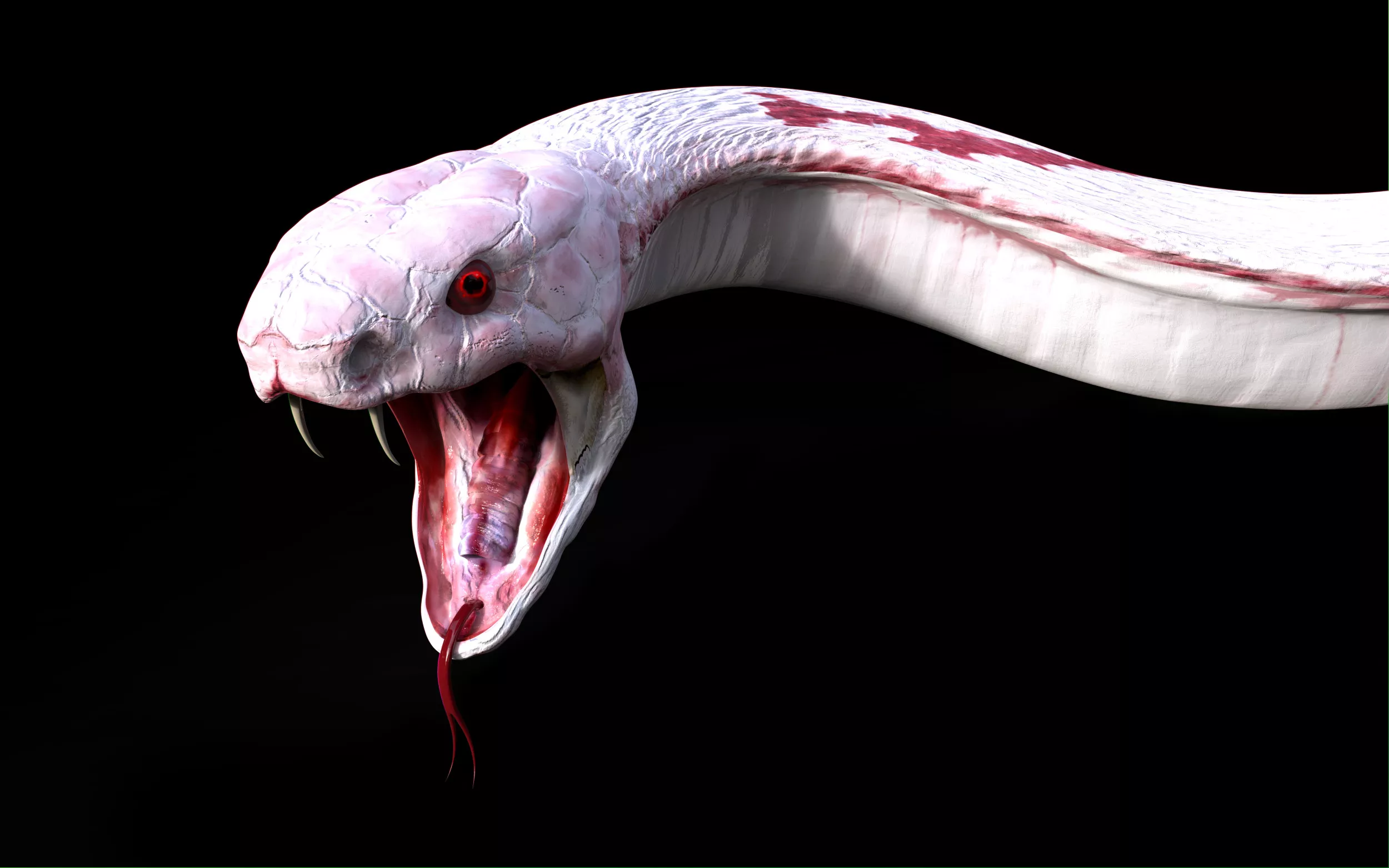 Snake Bites Kill Thousands Needlessly Because of Herbal Remedy Myths - Vimarsana News