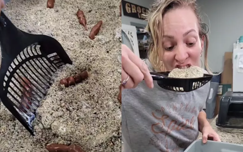 Woman Bakes Cake to Look Like a Litter Box