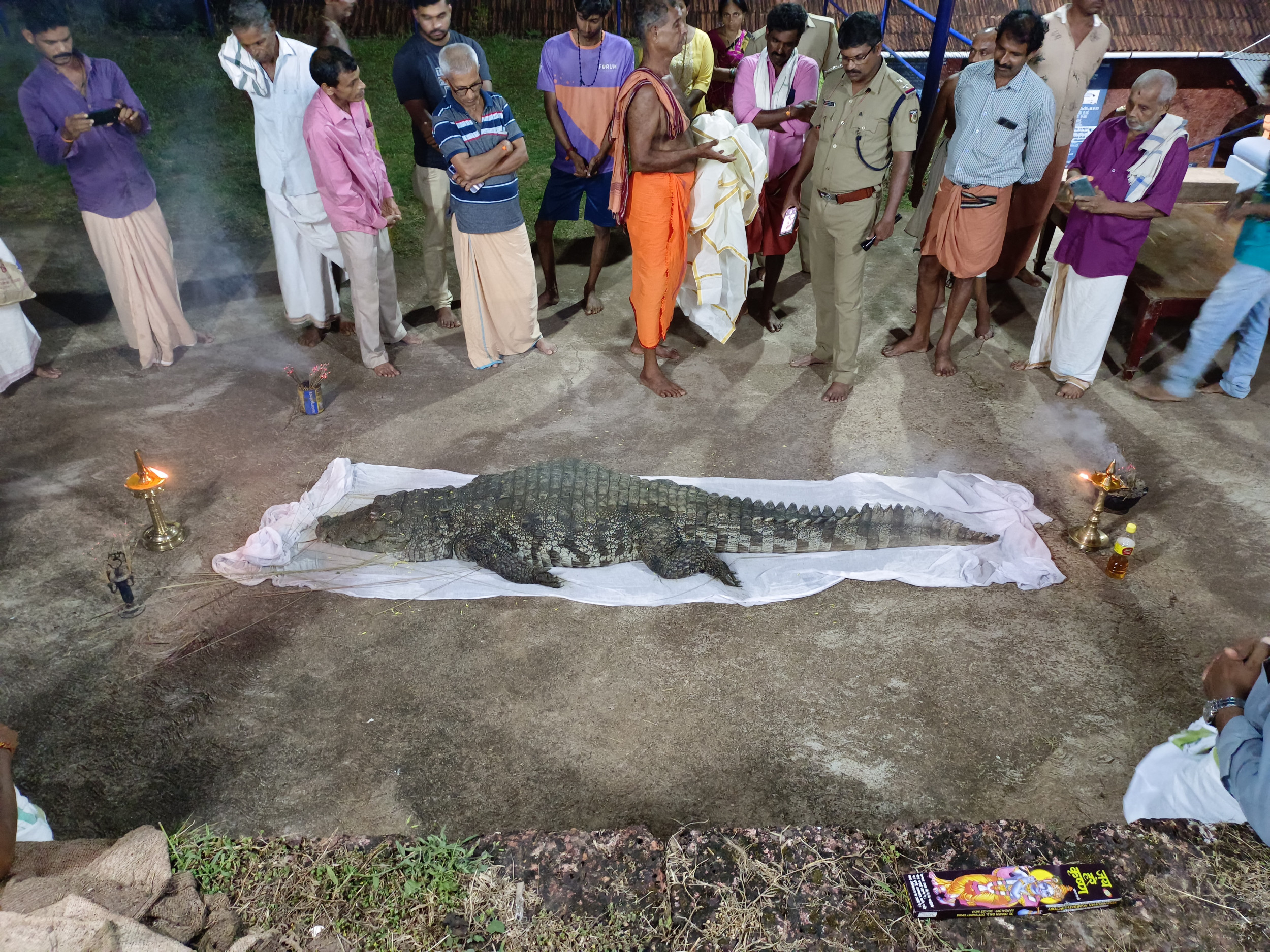 divine-miracle-vegetarian-crocodile-that-lived-in-a-temple-dies-at-75