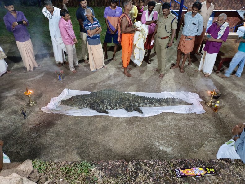 Coccodrillo divino sepolto in India