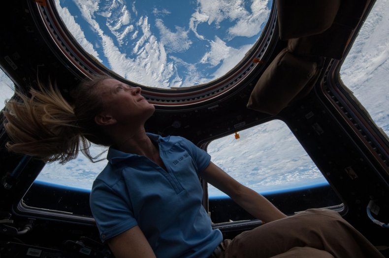 Karen Nyberg on the ISS dome