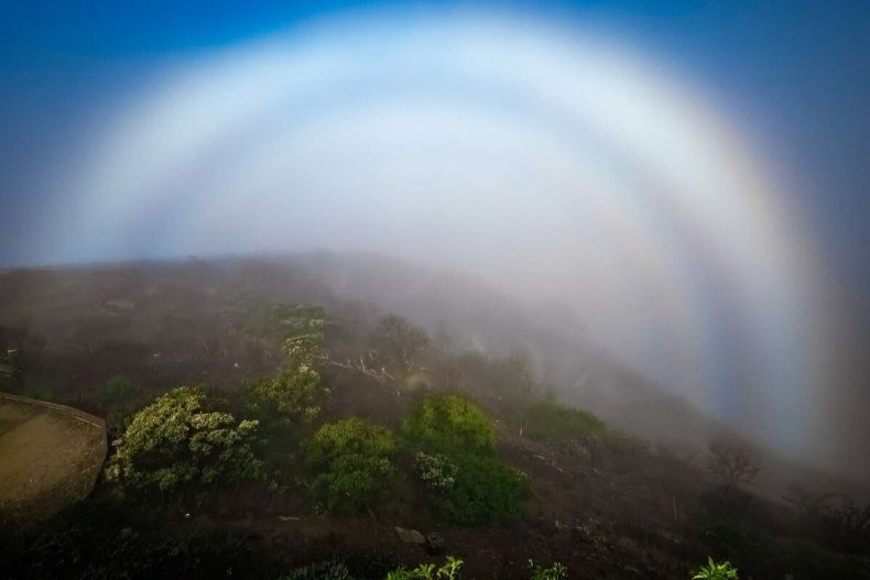 Fogbow Rainbow over San Francisco
