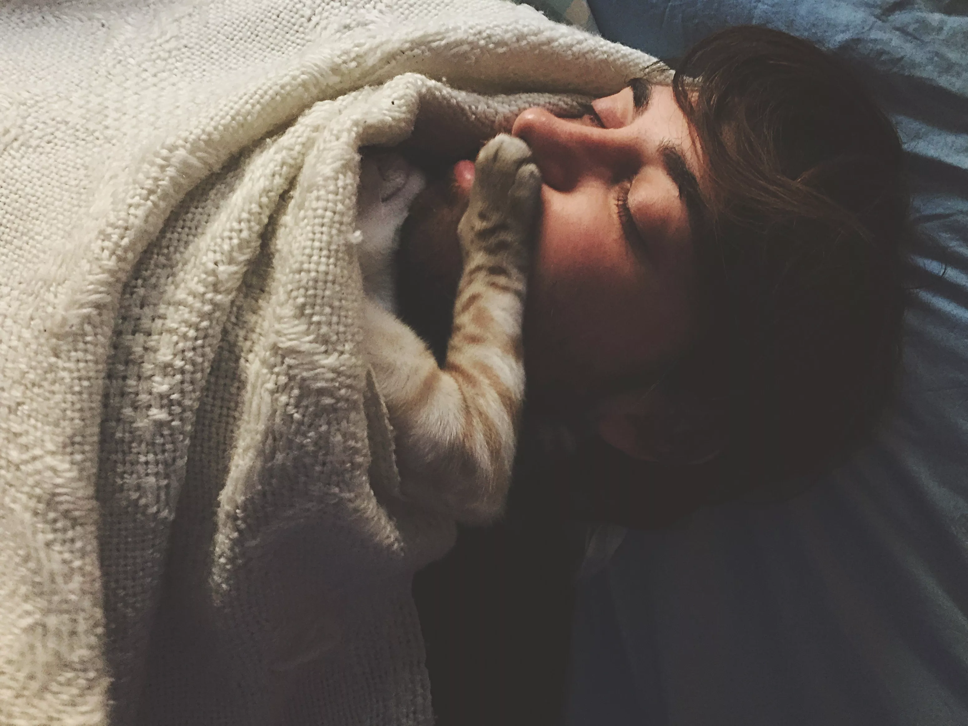 Footage of Rescue Cat's 'Nighttime Shenanigans' Has Internet in Hysterics - Vimarsana News
