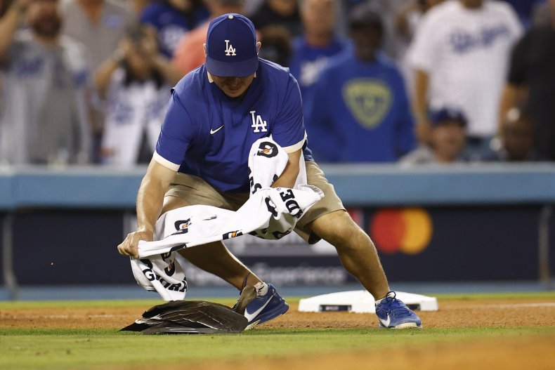 Dodgers goose