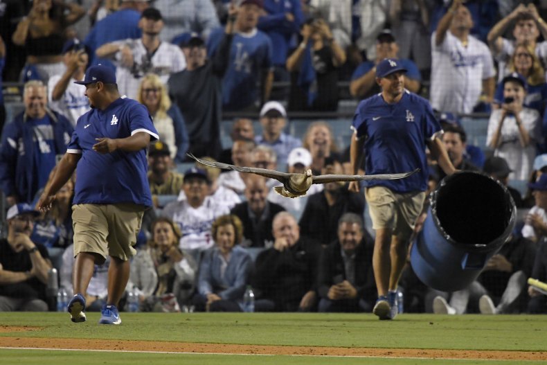 Dodgers goose