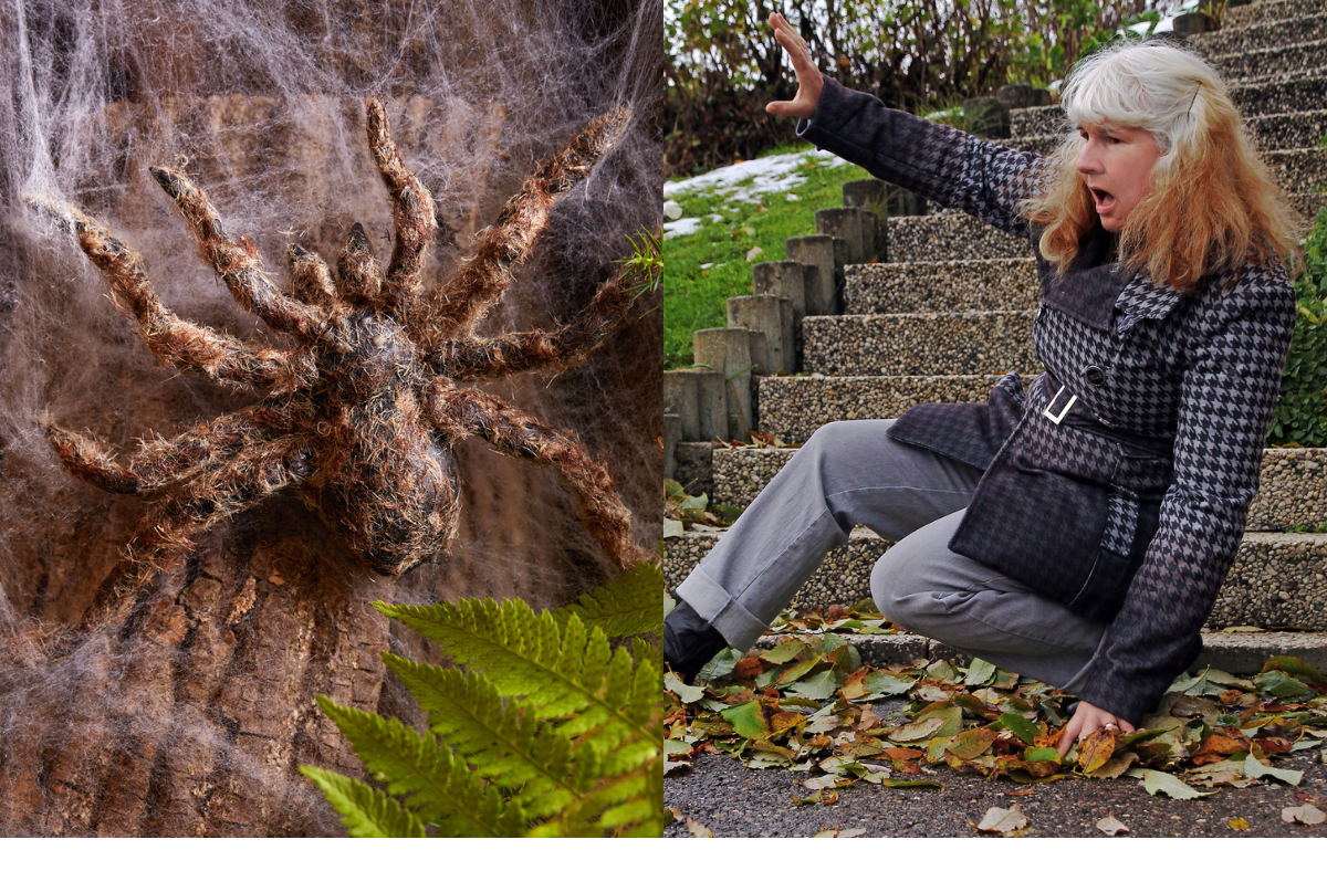 Man's Giant Spider Prank on Terrified Mom Stuns Internet: 'I Would've Died' - Newsweek