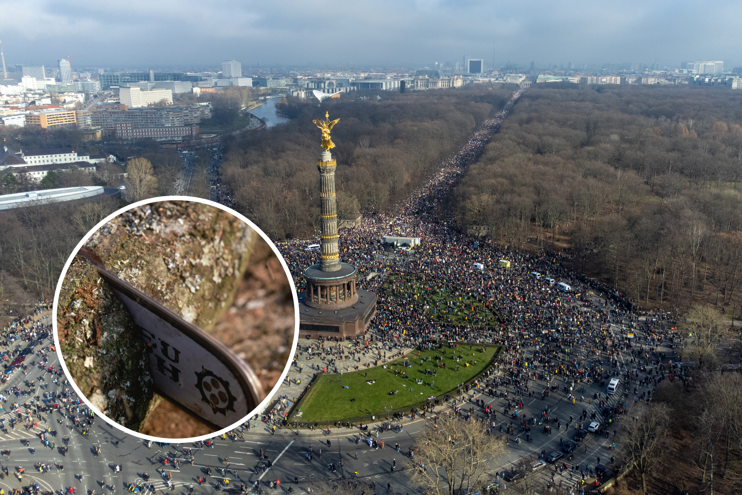 Fact Check: Did Fuel Crisis Force Berliners to Chop Trees in Tiergarten?