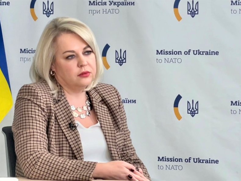 Natalia Galibarenko, Ukrainian Ambassador to NATO