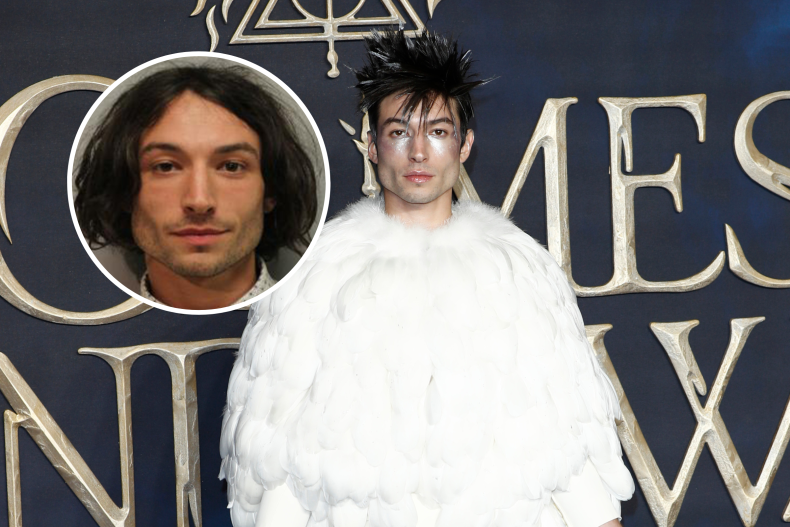 Ezra Miller "Fantastic Beasts" Premiere, Police Mugshot