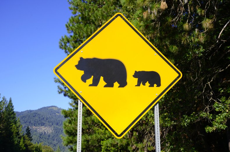 Bärenkreuzungszeichen