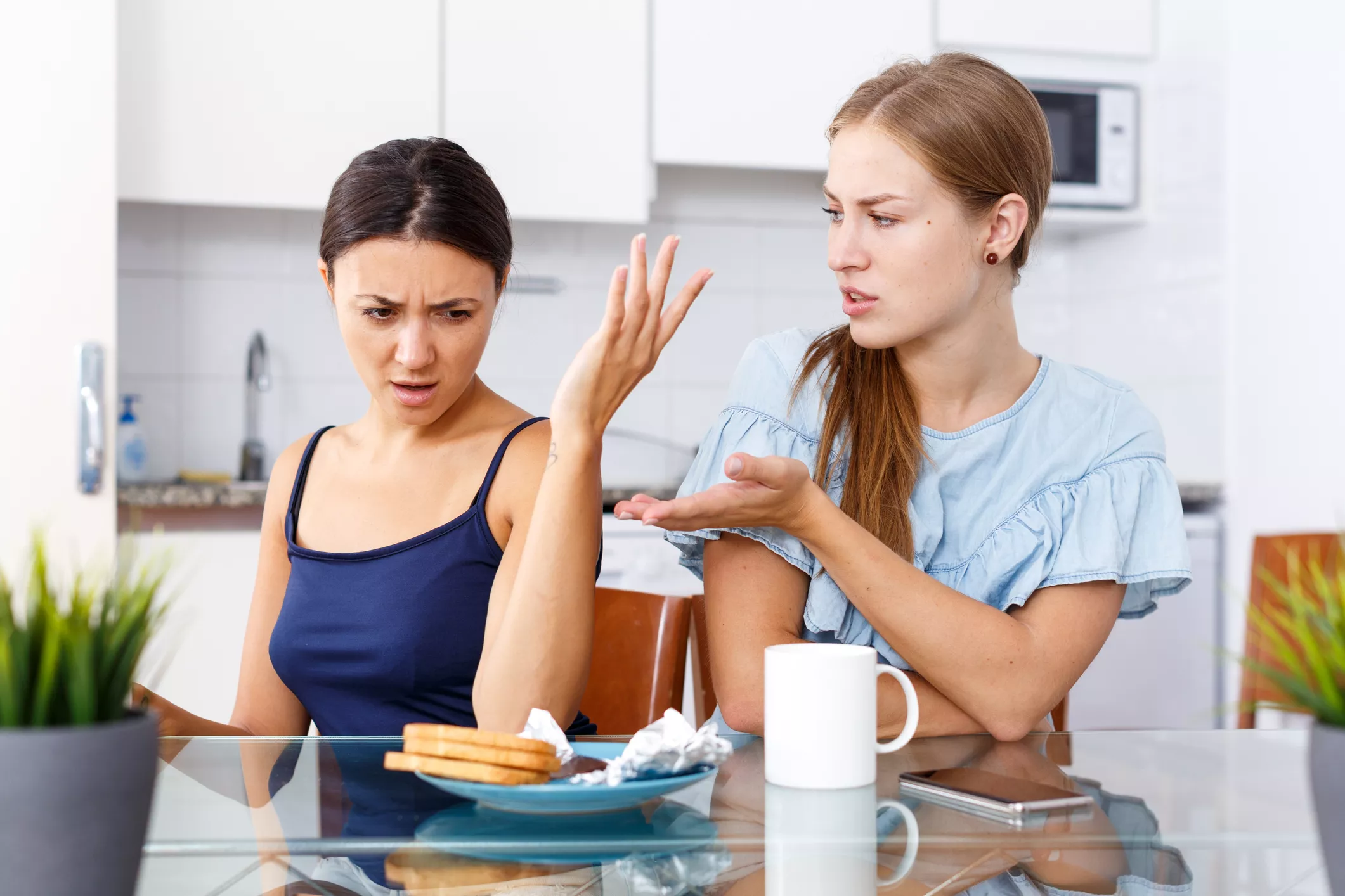 Pregnant Woman Who Threw Sister's Dinner Out of the Window Slammed - Vimarsana News