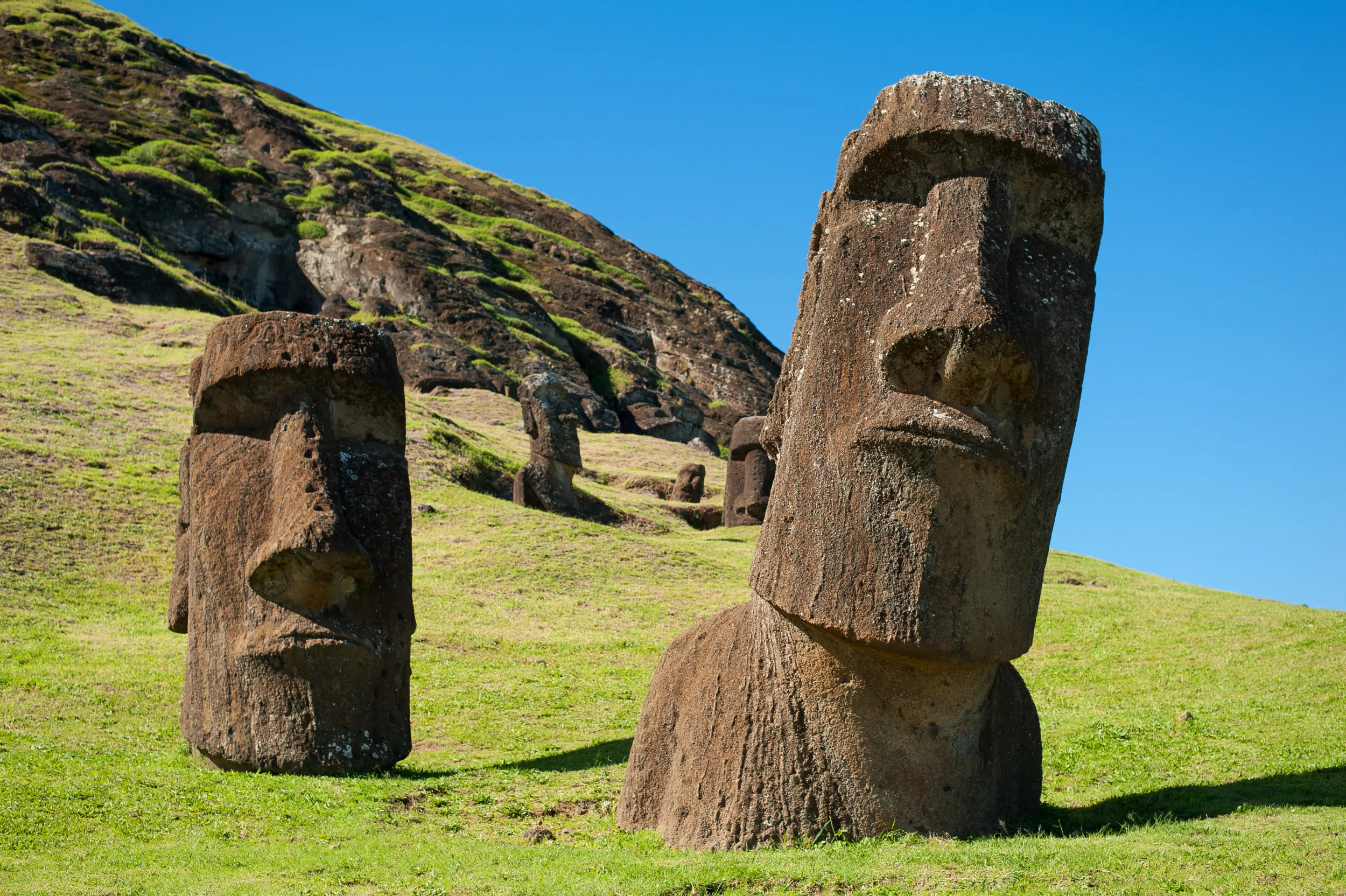 Moai stone head statue