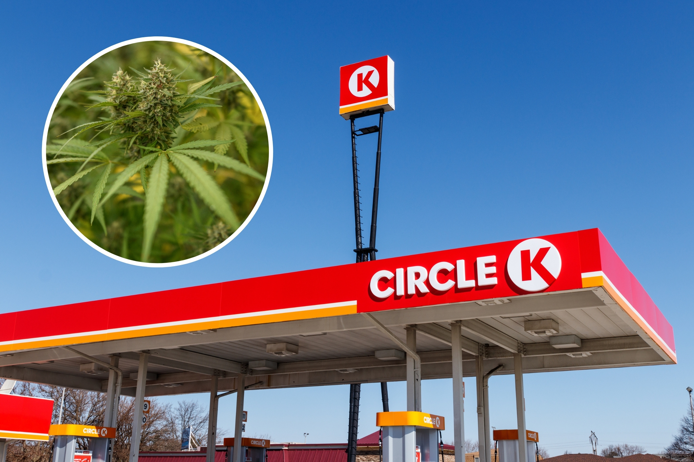 Fact Check: Will Marijuana be Sold in Florida Gas Stations in 2023?