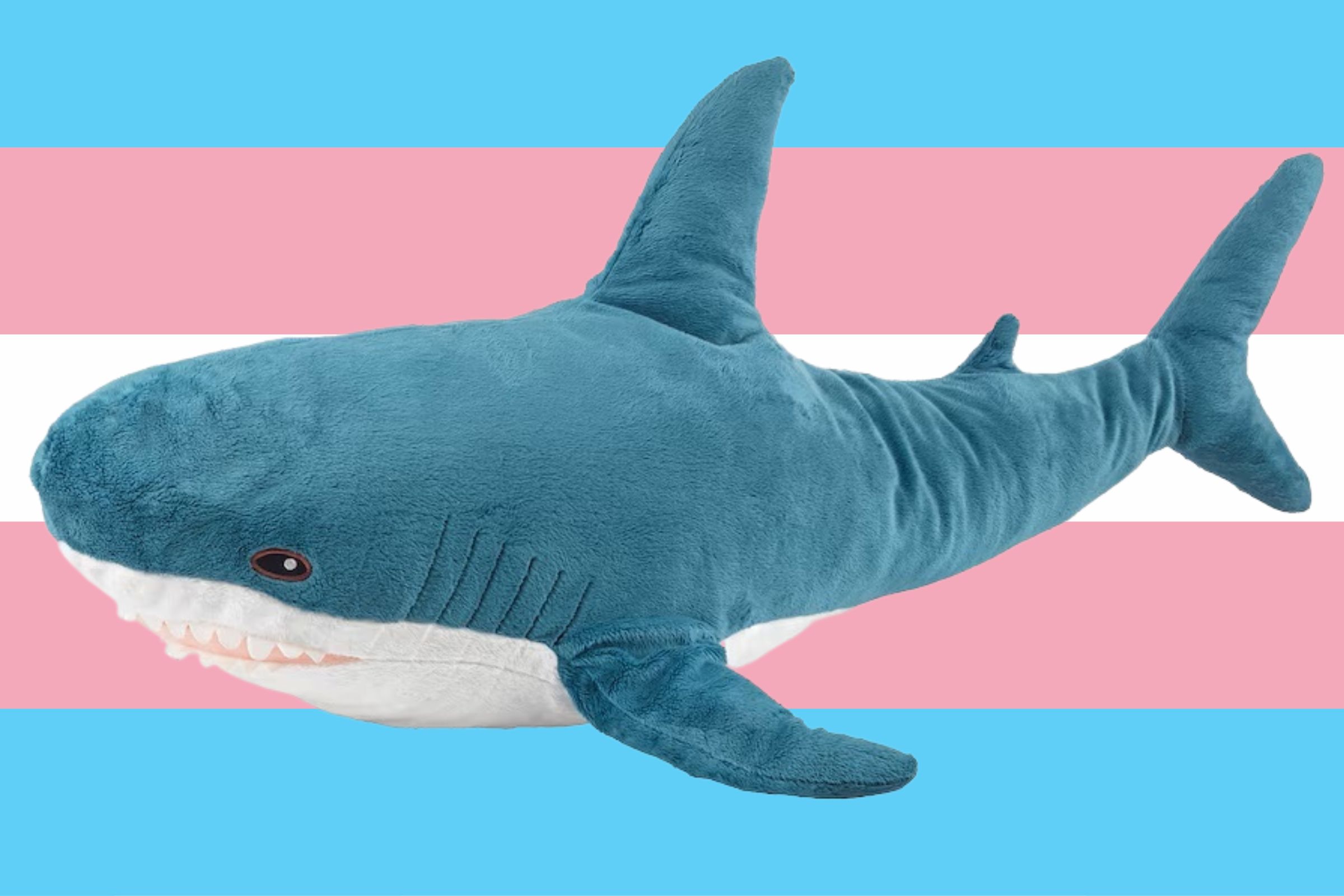 How the IKEA Shark Became a Trans Icon