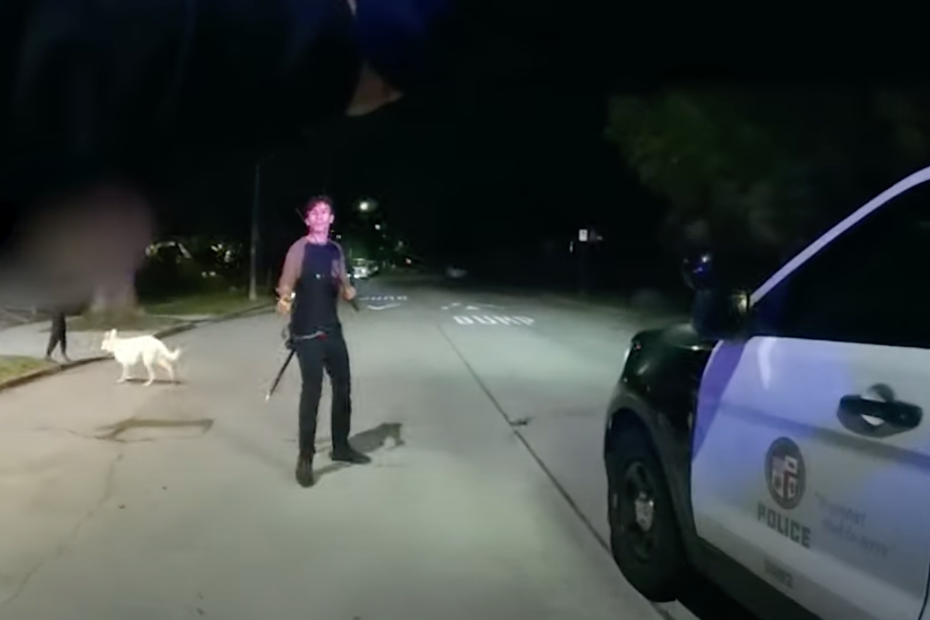 Man Wielding Pair of Swords Stabs Mom Trying to Protect Daughter