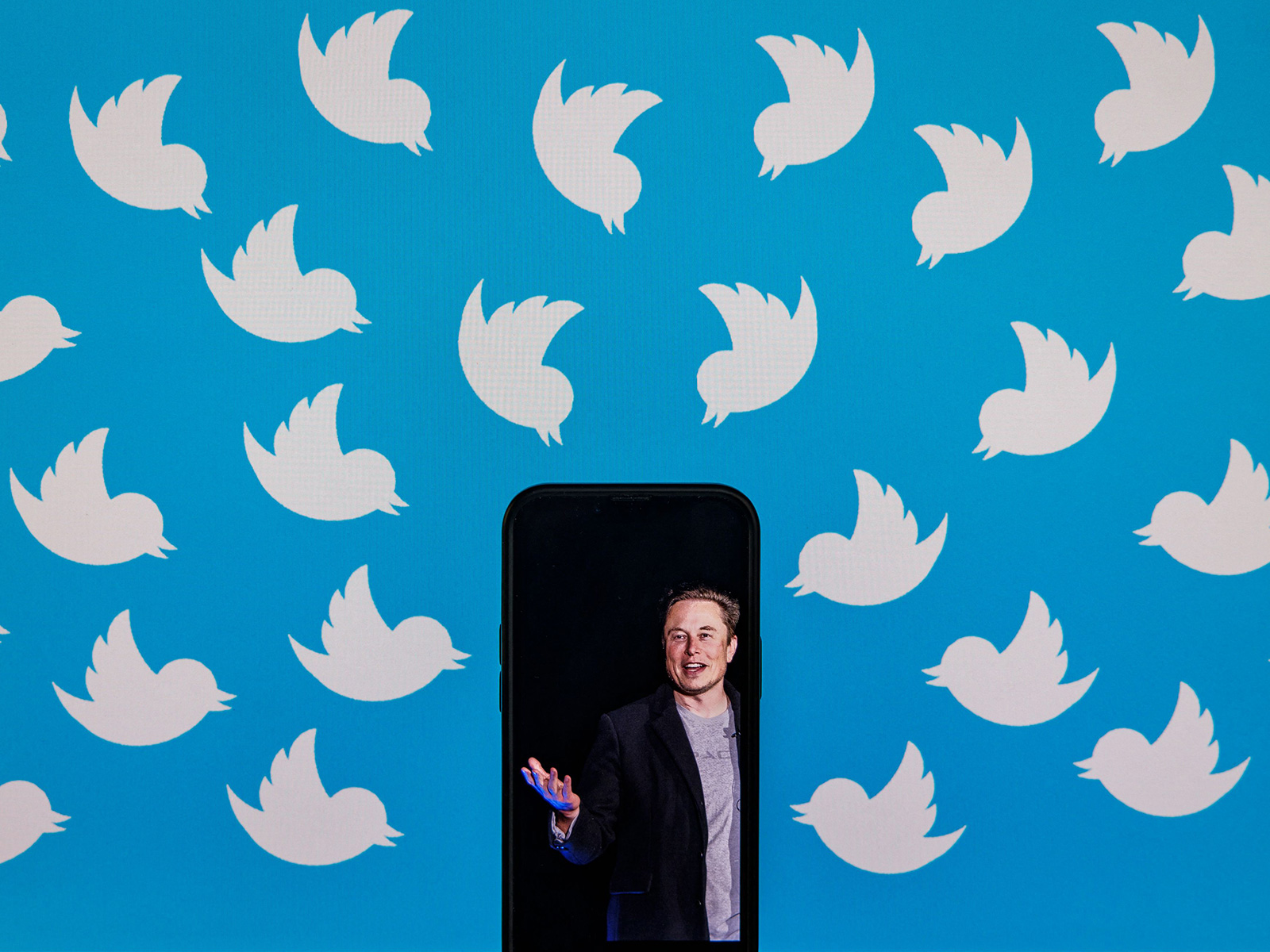 twitter-alternatives-floated-in-wake-of-elon-musk-s-planned-staff-cuts