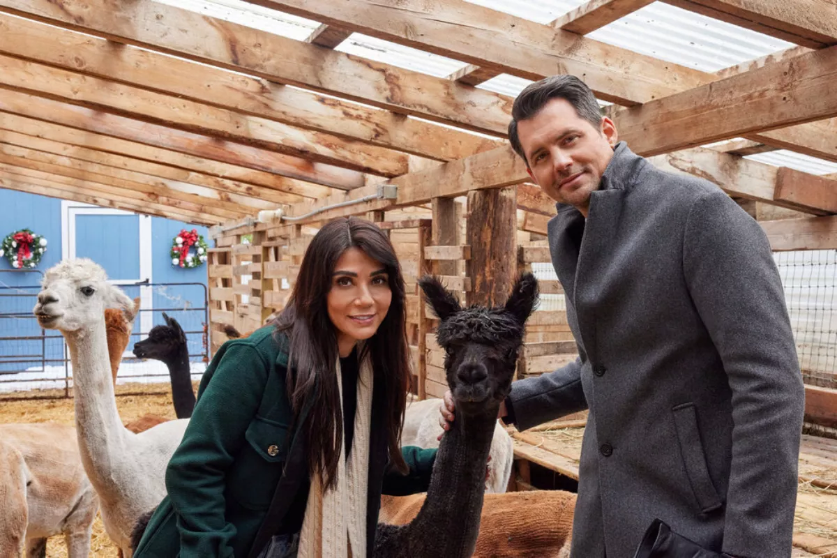 'We Wish You a Married Christmas' Star on Hallmark's New 'Feel-Good' Flick - Vimarsana News