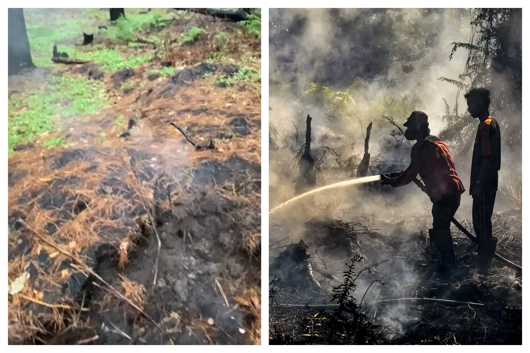 Mystery Burning Ground Found in Woodlands by Jogger - Vimarsana News