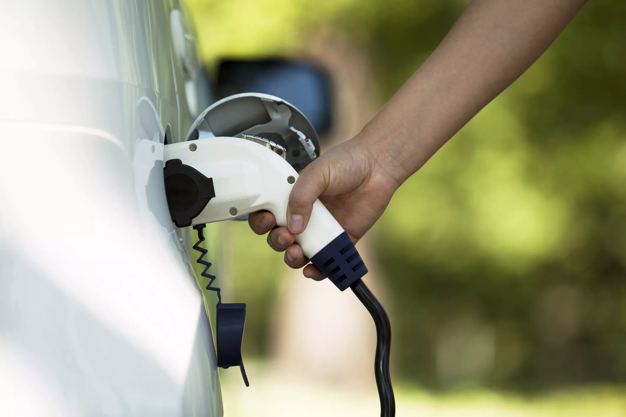 Common Element May Help Solve Lithium Battery Woes of Electric Cars - Vimarsana News