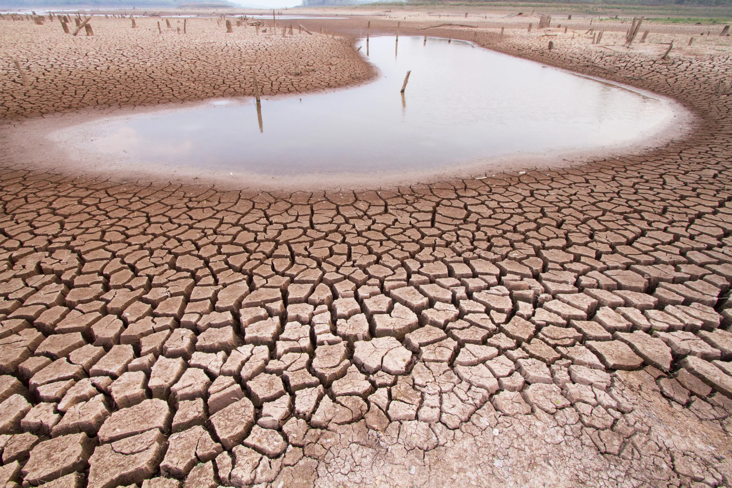 Shift in East Africa's Rainy Season Offers 'Glimmer of Hope' in Drought - Vimarsana News