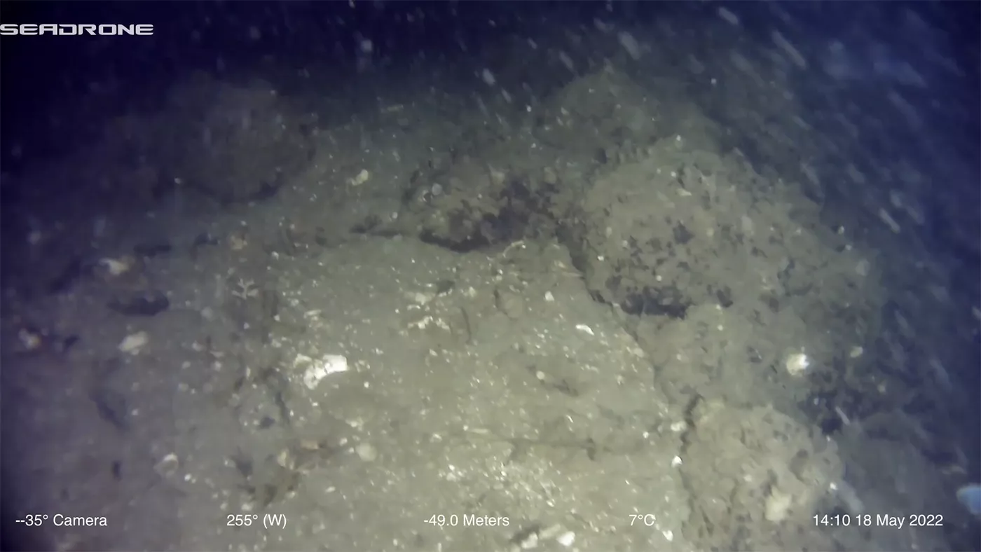Fish Trap Dating Back 11,000 Years in Alaska Reveals Migration Secrets - Vimarsana News