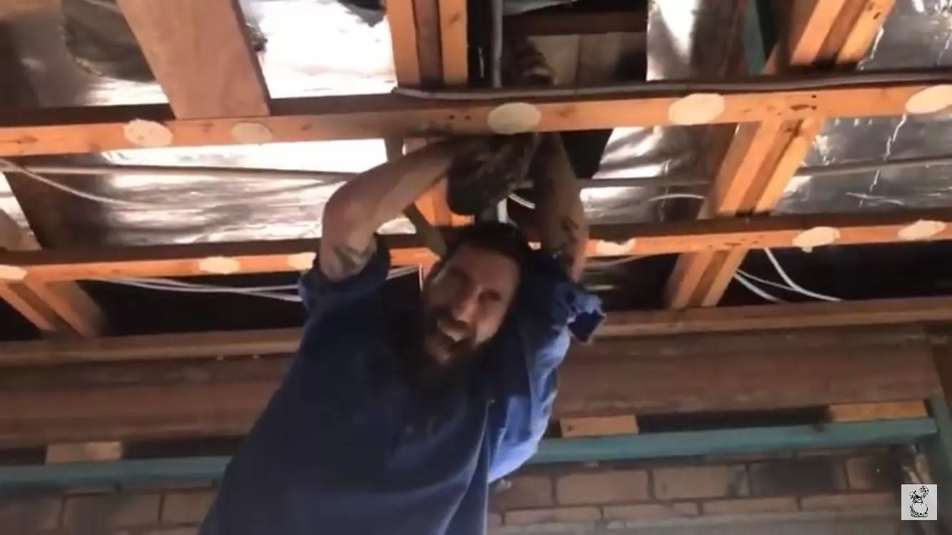 Big Male Snake Searching for Female Bites Man on Head - Vimarsana News