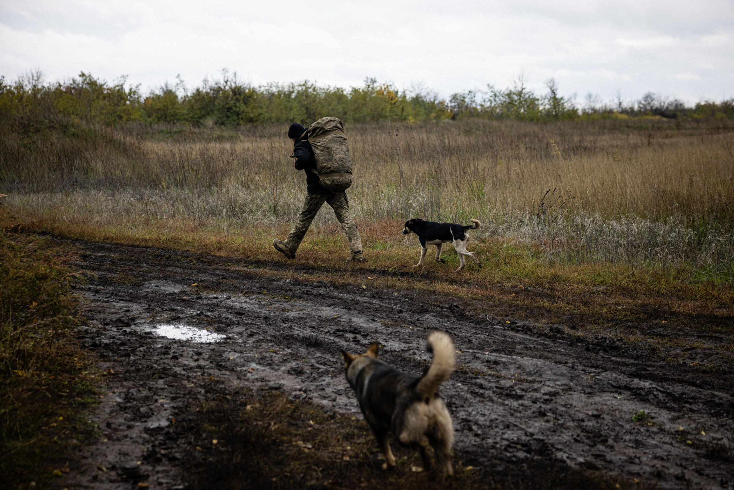 Ukraine Warns Russia Getting Major Reinforcement on Front Lines