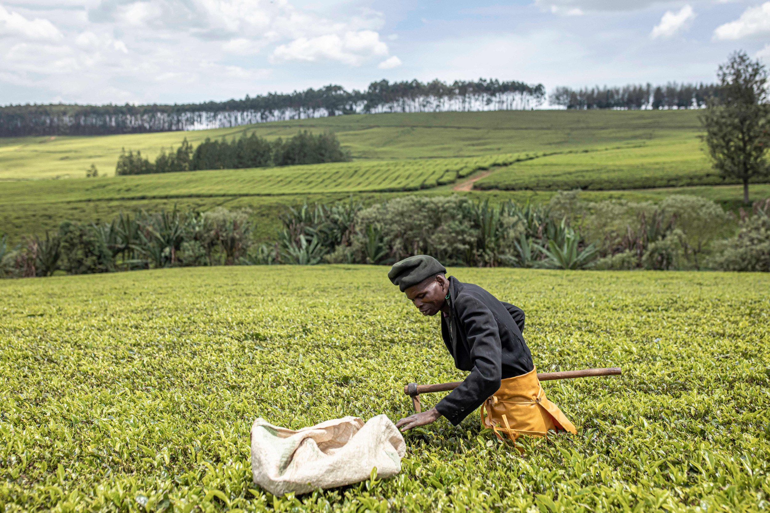 What Happens When Our Food Systems Fail Us? We're Finding Out | Opinion ...