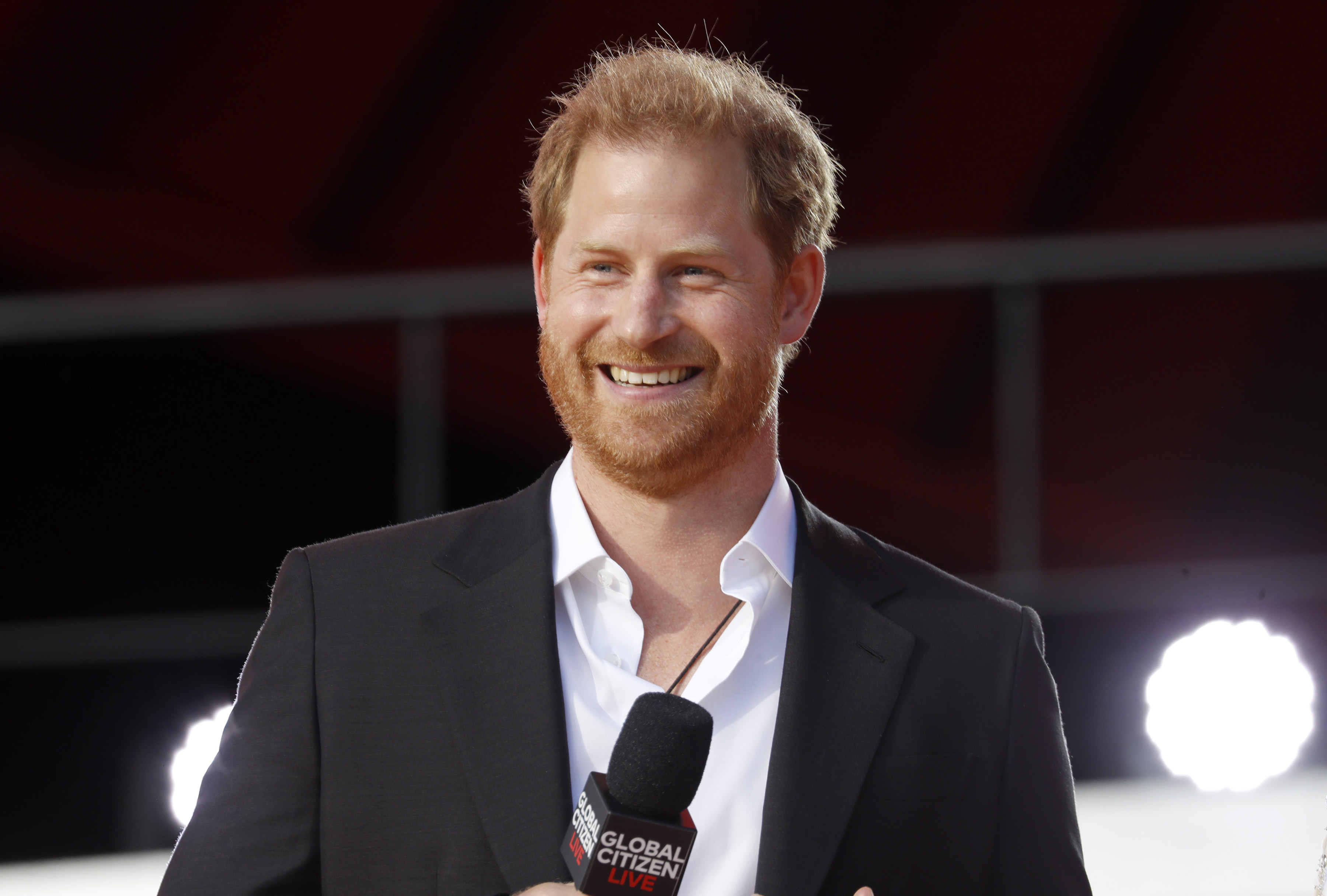 Prince Harry's 'Spare' Sparks Heated Debate Among Royal Fans: 'Move On ...