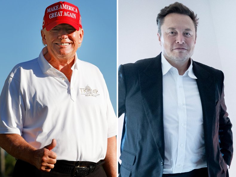 Composite, Trump and Musk 