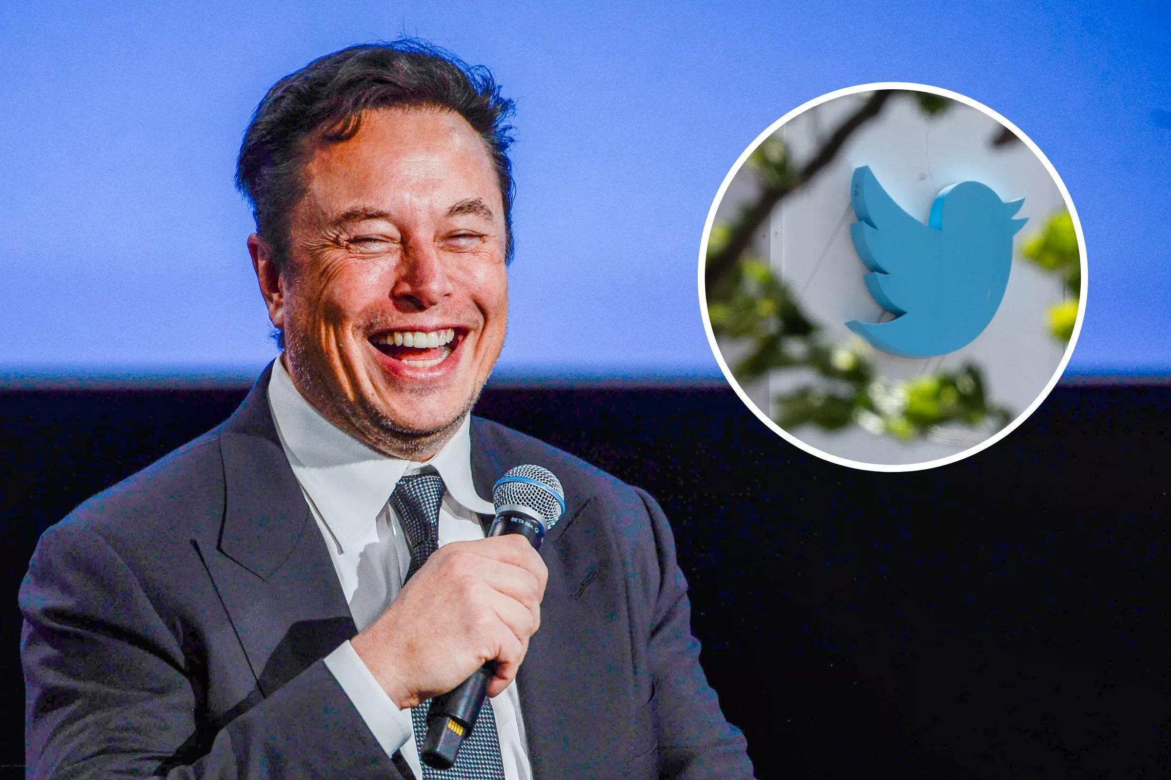 What Fears Do People Have After Elon Musk's Twitter Takeover? - Vimarsana News
