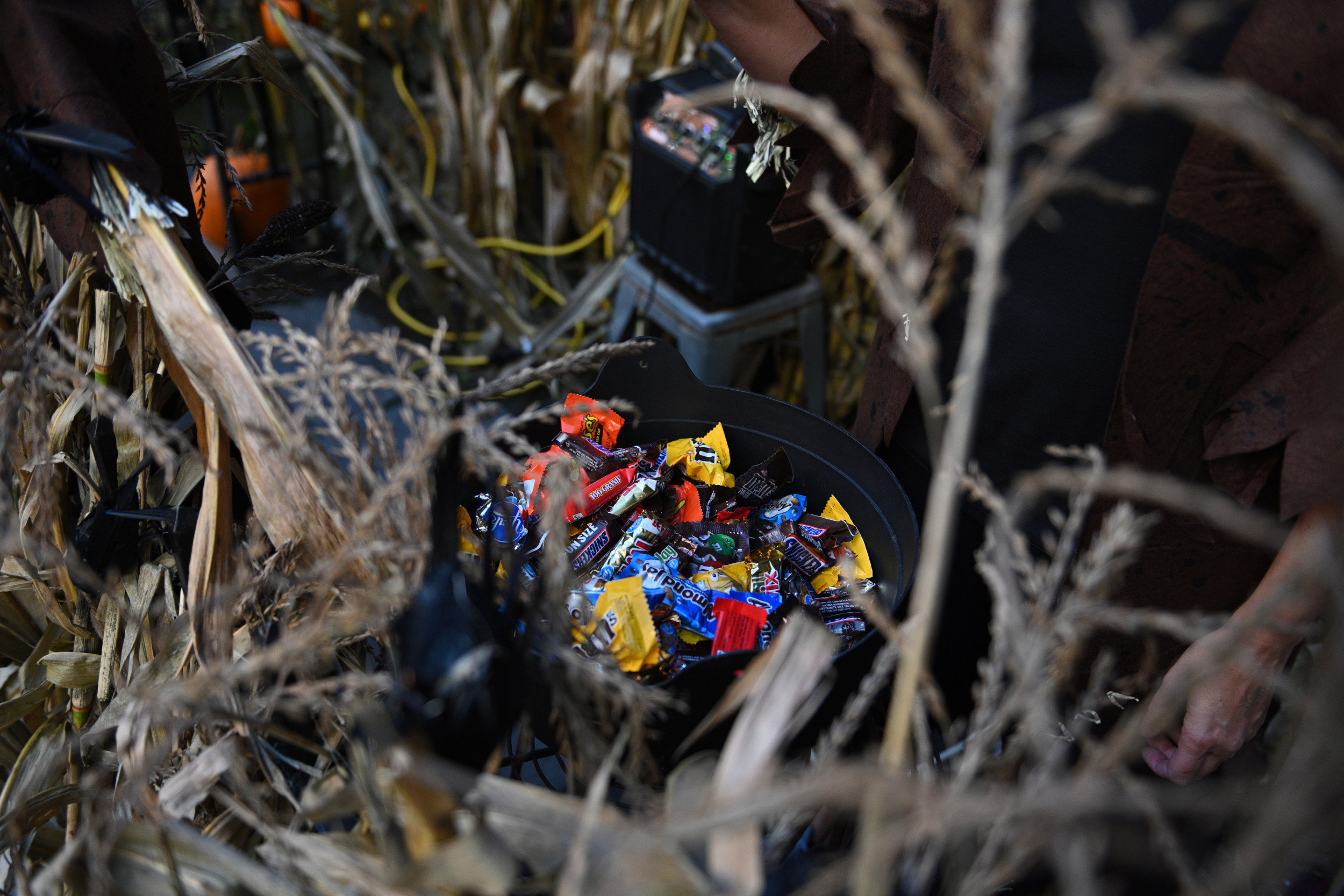 Where Should You Spend Halloweekend? Study Shows Top Spooky Cities in U.S.