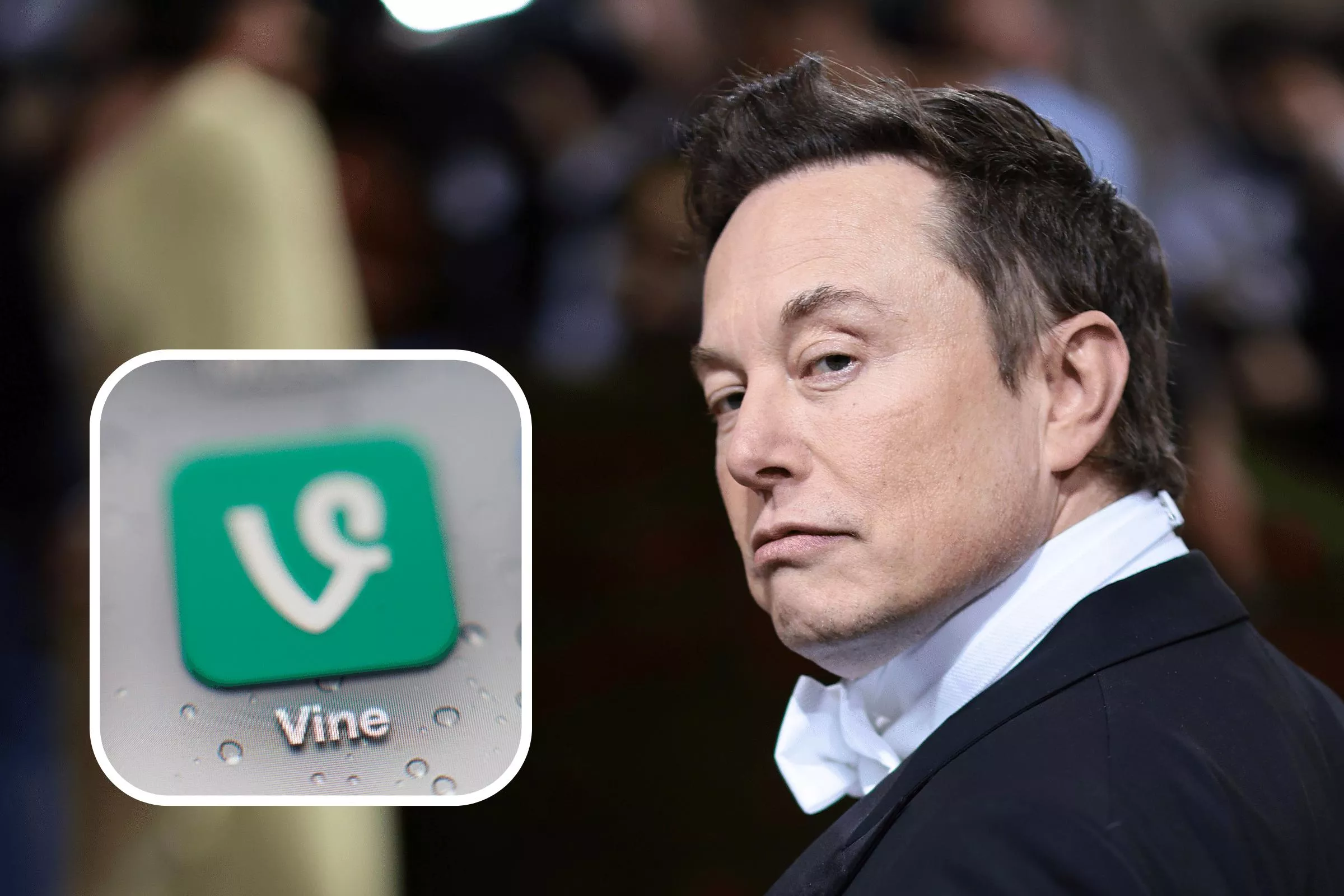 What Is Vine? Elon Musk Considers Bringing Back TikTok Rival - Vimarsana News