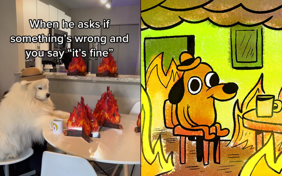 Iconic 'This is Fine' Meme Completes a Decade, Cartoonist Celebrates With a  Tweet - News18