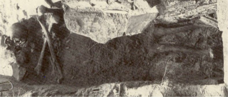 The grave of an 1800s 'vampire'.
