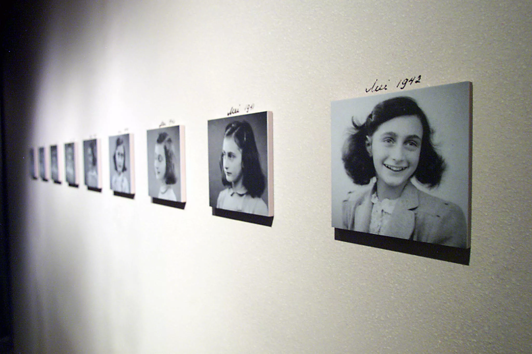 Republican's Book Where Anne Frank Muses About Jesus Deemed 'Antisemitic' - Vimarsana News
