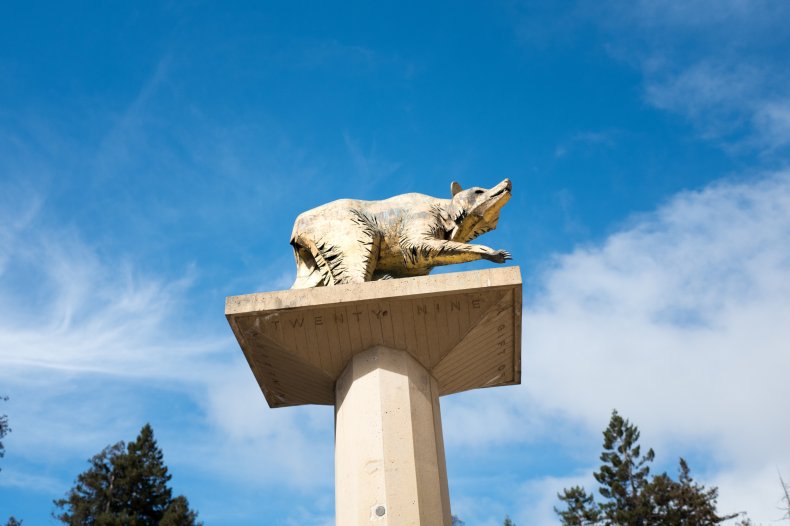 Berkeley's Golden Bear