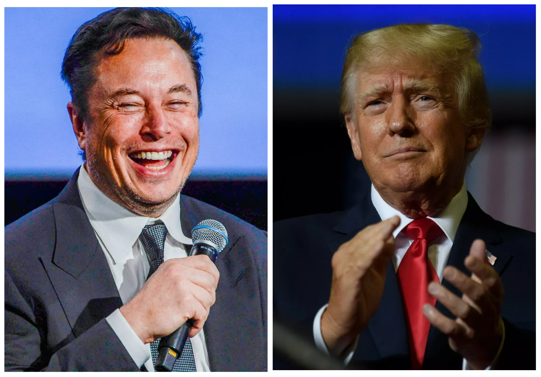 Elon Musk Reveals How Donald Trump Can Return to Twitter - Vimarsana News