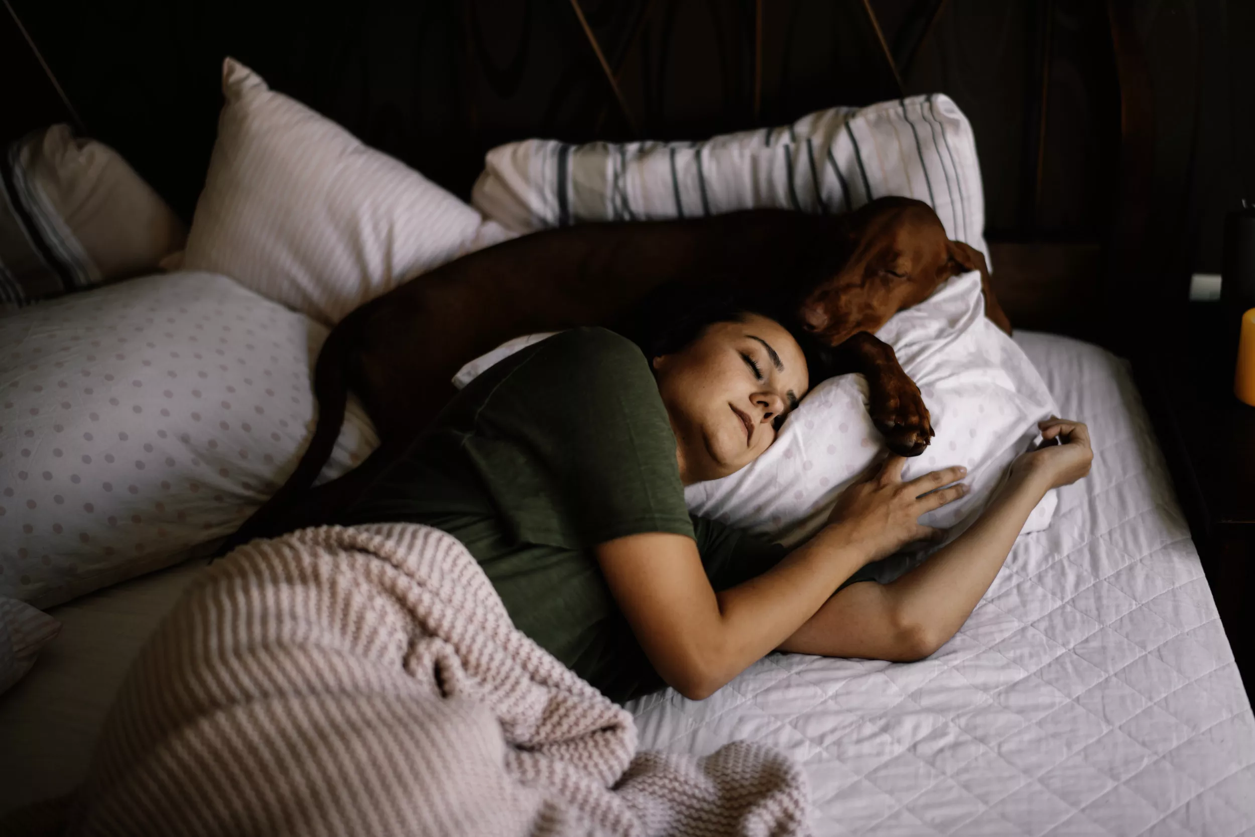 Watch As Labrador Kicks Man Out of His Own Bed in Hilarious Clip - Vimarsana News