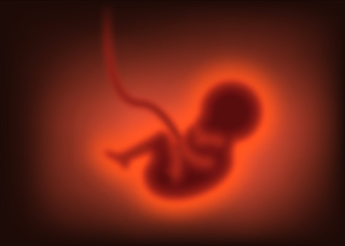 Embryo developing
