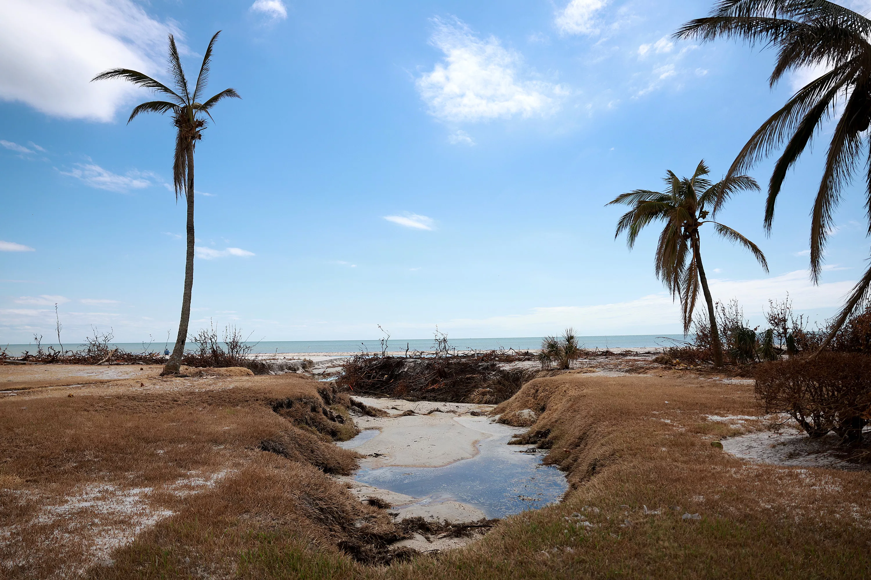 Florida's Eroded Beaches Raises Danger of Potential Hurricane Nicole - Vimarsana News