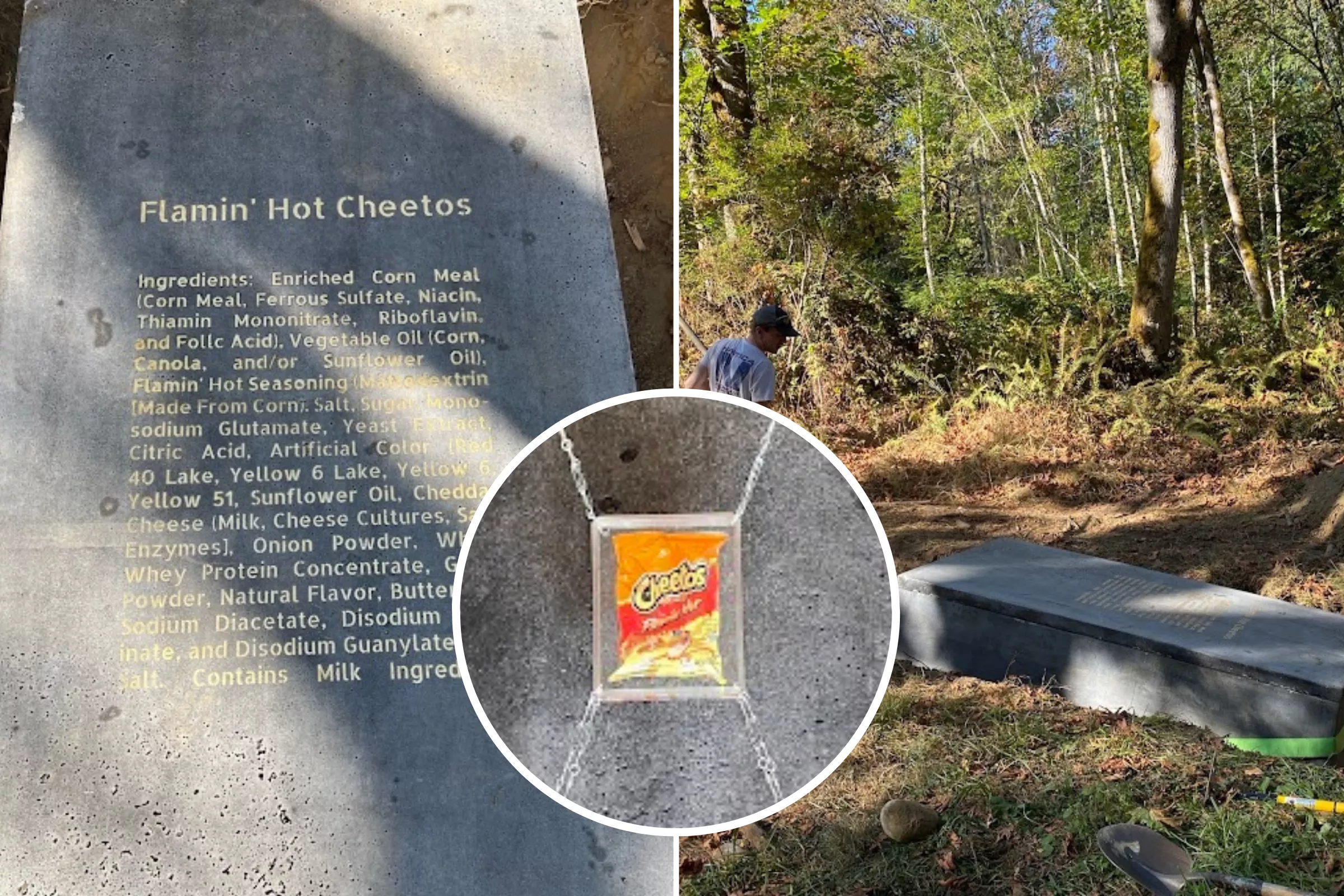 Man Builds 3,000-Lb Sarcophagus to Preserve Bag of Cheetos for Centuries - Vimarsana News