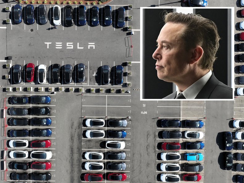 Elon Musk with Tesla car