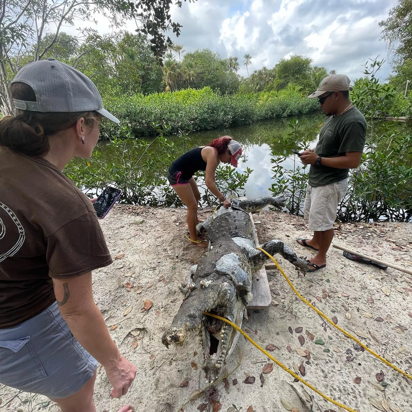 Huge, Critically Endangered Crocodile Suffers Slow, Agonizing Death - Vimarsana News