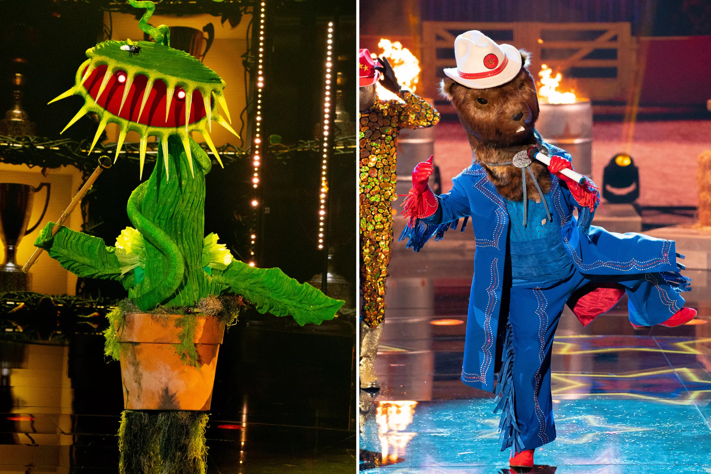 'The Masked Singer' Unveils Gopher and Venus Flytrap—This Is Who They Are - Vimarsana News