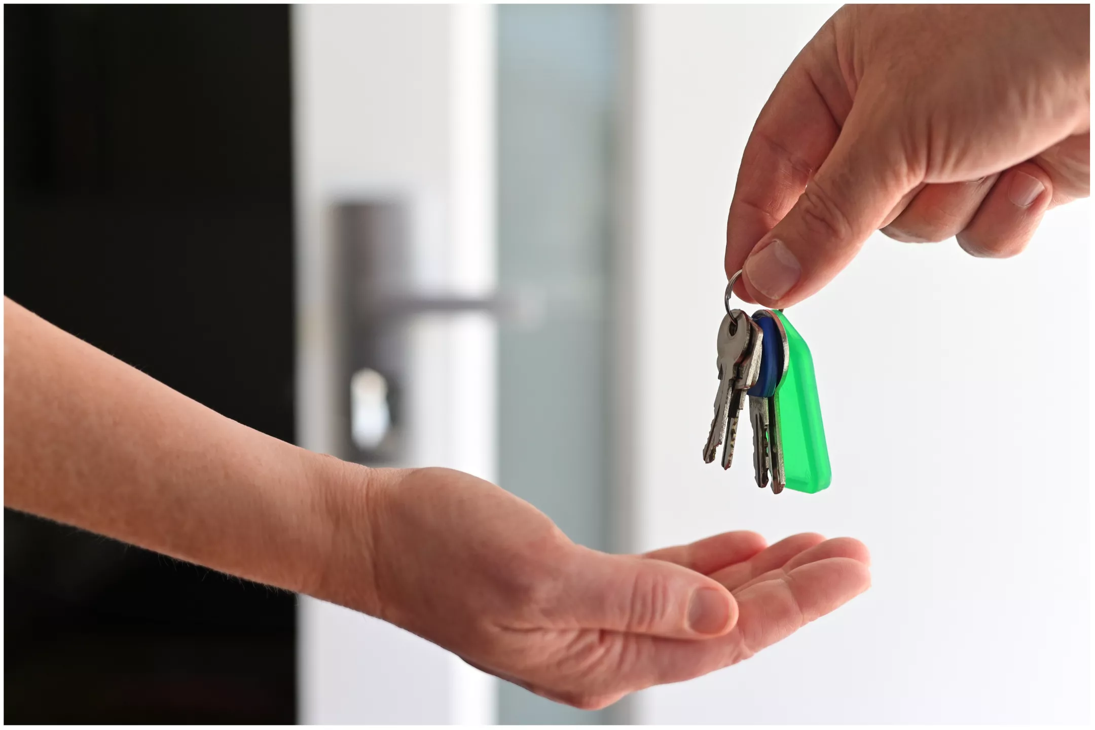 Landlord Quitting Job and 'Leeching' off Roommates' Rent Money Backed - Vimarsana News