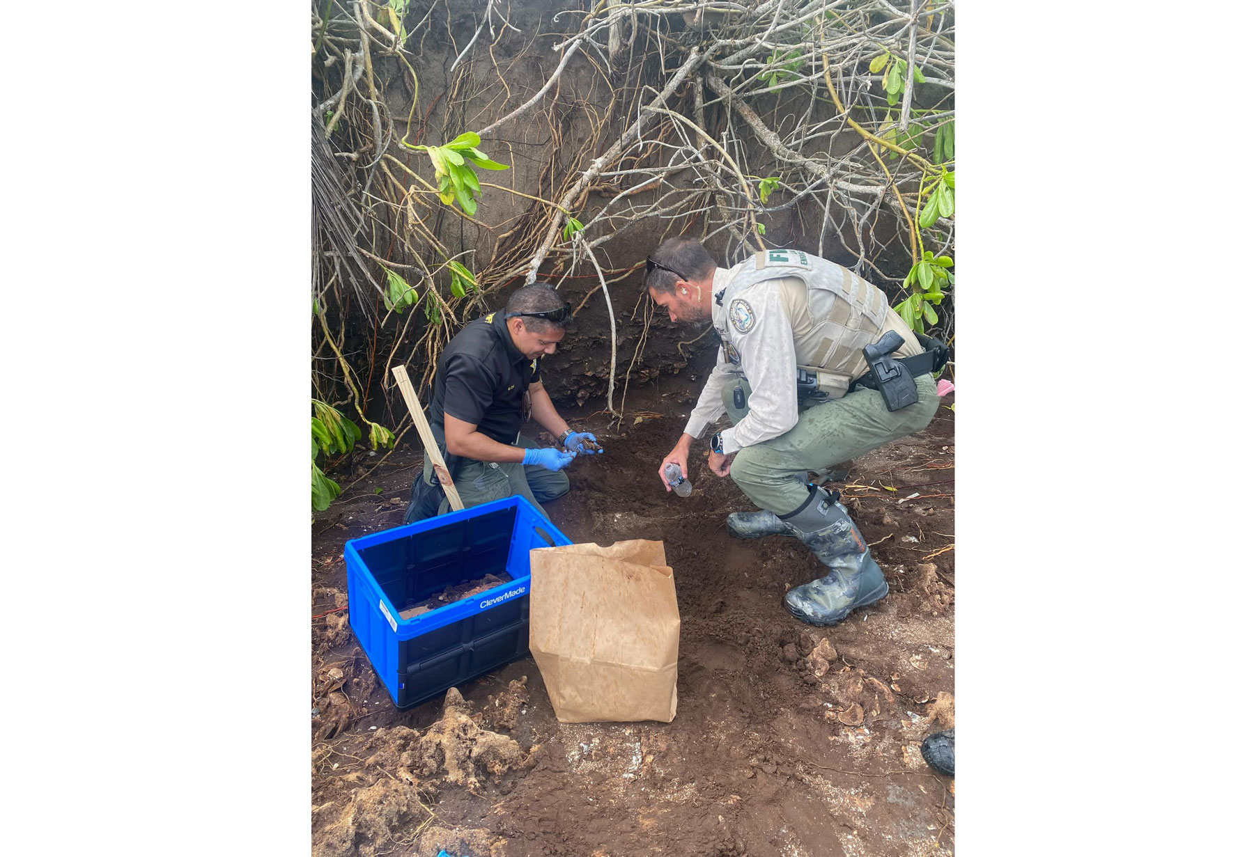 Hurricane Nicole Unearths Possible Burial Ground As Skull Emerges on Beach Hurricane Nicole Unearths Possible Burial Ground As Skull Emerges on Beach