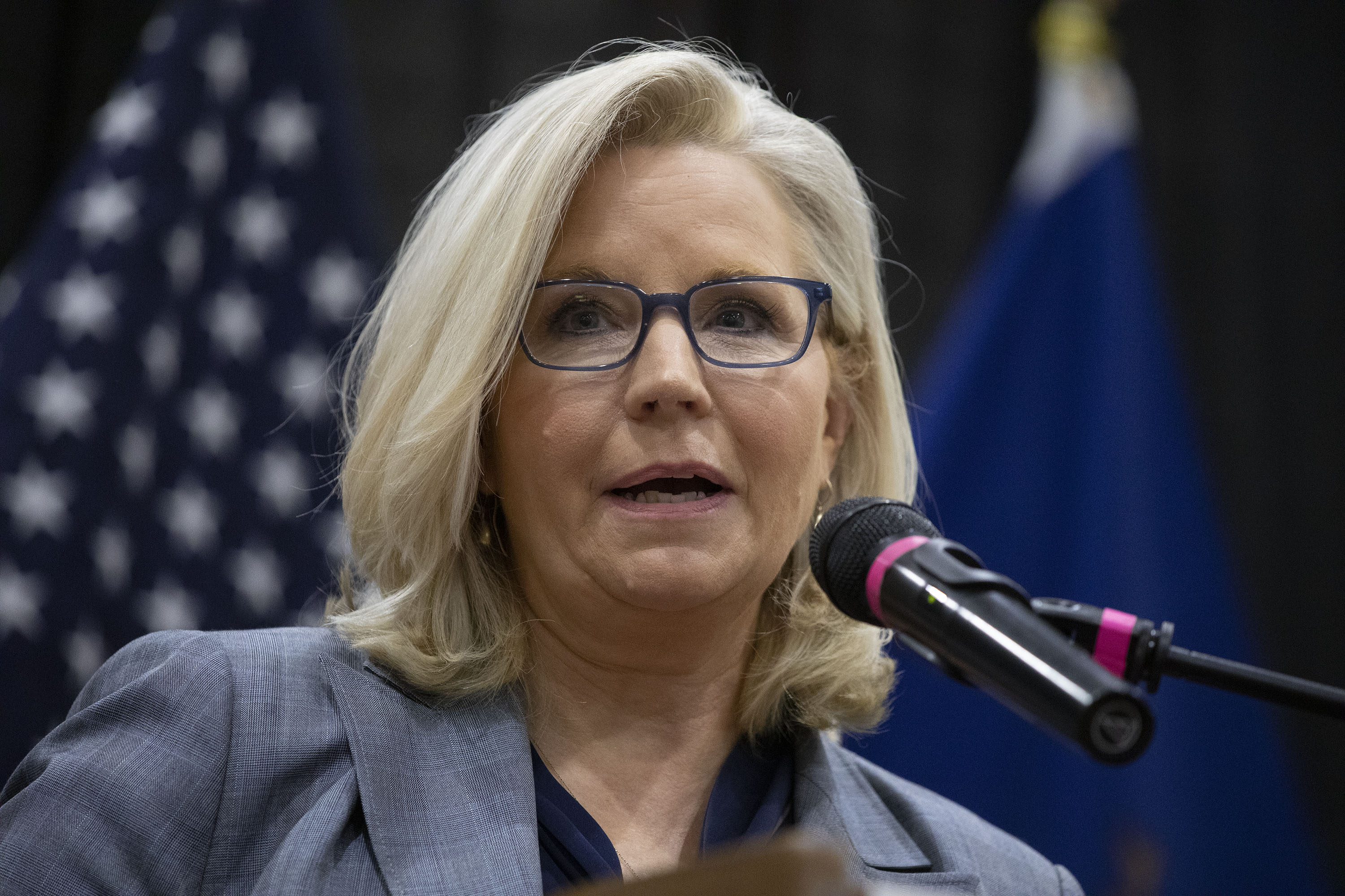 Liz Cheney for House Speaker? Divided Over Latest Suggestion